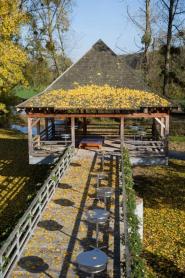 domaine-du-vieux-moulin