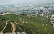 hotel-le-domaine-des-vignes