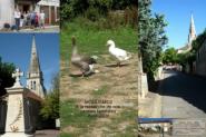 la-ferme-des-3-canards