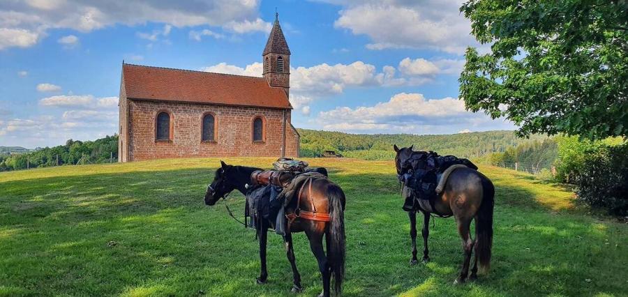 Saint-Quirin, plus beau village de France : un patrimoine riche au cœur des Vosges