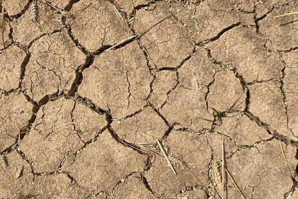 Changement climatique. Le Morbihan placé en vigilance sécheresse