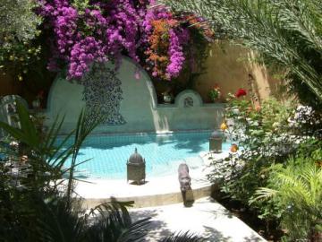 riad-norma